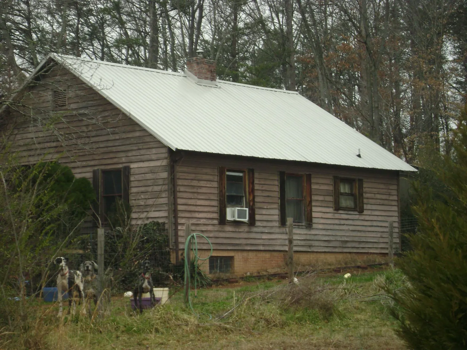 White metal roof on an old wood sided farmhouse, from a Asphalt Shingle Roof Repair job in North Garden